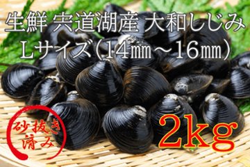 生鮮　島根県宍道湖産大和しじみ　Mサイズ（12㎜～13㎜）2㎏画像