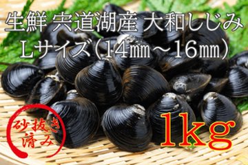 生鮮　島根県宍道湖産大和しじみ　Mサイズ（12㎜～13㎜）1㎏画像