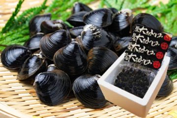 【イトガ】出雲神西湖産冷凍大和しじみセットの画像