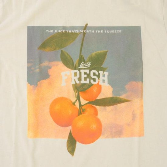 LEVI'S® FRESH リーバイス　1614-30502 リラックスフィットTシャツ STAY FRESH UNDYED GREIGE  サステナブル商品画像