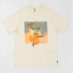 LEVI'S® FRESH リーバイス　1614-30502 リラックスフィットTシャツ STAY FRESH UNDYED GREIGE  サステナブル商品画像