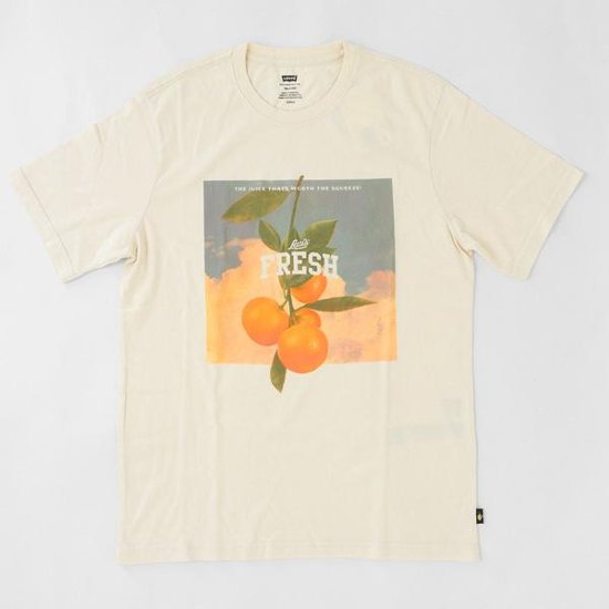LEVI'S® FRESH リーバイス　1614-30502 リラックスフィットTシャツ STAY FRESH UNDYED GREIGE  サステナブル商品画像
