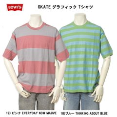 Levis リーバイス A1005-00　SKATE グラフィックTシャツ　18）ピンク　ボーダー　19）ブルーボーダー　リラックススタイルの画像