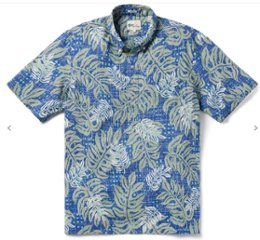 reynspooner 　レインスプーナー　Monstera　Modern 126-6414 0006）BLUE プルオーバー プルオーバーの画像