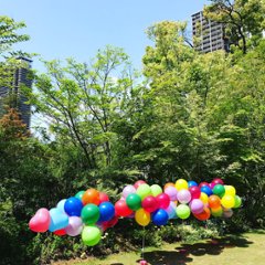 【バルーン】バルーンリリース50個ラウンド型アソート※店頭販売のみの画像