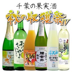 【送料無料/クール便】秋の収穫祭 千葉の果実酒６本セット-Ⅳの画像