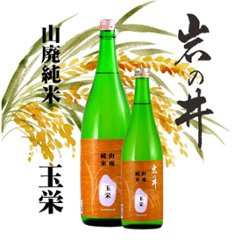 【当店発送】岩の井 山廃純米 玉栄 1800ml/当店限定販売の画像