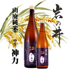 【当店発送】岩の井 山廃純米 中生神力 1800ml/当店限定販売の画像