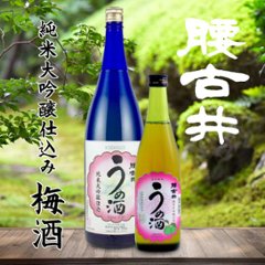 【吉野酒造直送】腰古井 純米大吟醸仕込み梅酒 500ml画像