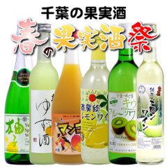 【送料無料】春限定！千葉の果実酒６本セットの画像