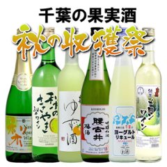 【送料無料/クール便】秋の収穫祭 千葉の果実酒６本セット-Ⅲの画像