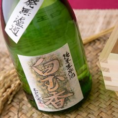 【訳あり送料無料/当店発送クール便】白玉香 純米 無濾過 生原酒 720ml/限定2本画像