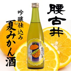 【吉野酒造直送】腰古井 吟醸仕込み 夏みかん酒  500ml画像