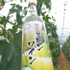 【送料無料】銚子メロンワイン 500ｍｌ×6本画像