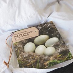 King Eiderdown Light Summer Duvet | アイダー羽毛薄掛け布団 軽量タイプ★★★★★★の画像