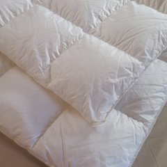 Premium Duvet | 羽毛掛け布団 厳選タイプ★★★★★の画像