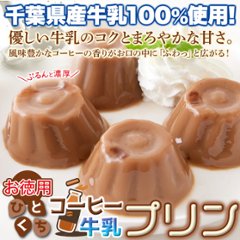 【送料無料(沖縄・離島への配送不可)】まろやかな甘さと風味豊かなコーヒーの香りがたまらない☆【お徳用】ひとくちコーヒー牛乳プリン40個【85ptプレゼント】画像