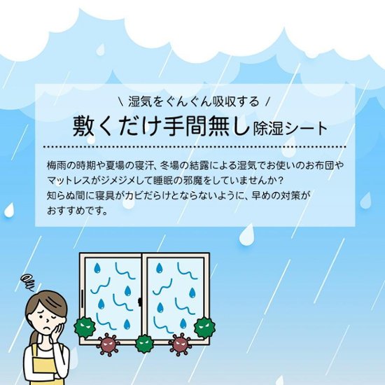 【FMながおか ラジオショッピング紹介商品】洗える除湿シート 炭男くん　シングル（約90×180cm）画像