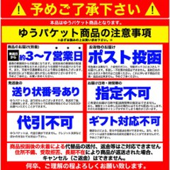 【全国送料無料】【ゆうパケット出荷】本場名産品!!老舗の盛岡冷麺４食スープ付き（100ｇ×4袋）【28ptプレゼント】画像