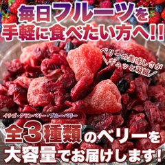 【送料無料(沖縄・離島への配送不可)】ベリーの美味しさがギュッと凝縮!【お徳用】ミックスベリー3種500g【79ptプレゼント】の画像