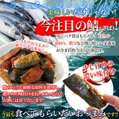 【送料無料(沖縄・離島への配送不可)】旨味と脂がジュワ～!!新鮮な鯖をつかった柔らか仕上げの新感覚おつまみ!!焼さばジャーキー120g【56ptプレゼント】画像