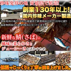 【送料無料(沖縄・離島への配送不可)】旨味と脂がジュワ～!!新鮮な鯖をつかった柔らか仕上げの新感覚おつまみ!!焼さばジャーキー120g【56ptプレゼント】画像