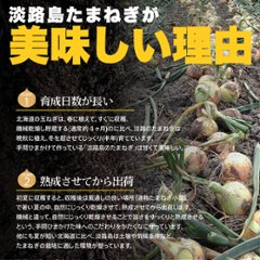 【全国送料無料】【ゆうパケット出荷】甘くて柔らかい淡路島産玉ねぎ100％使用！淡路島たまねぎスープ30包【10ptプレゼント】画像