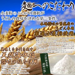 【全国送料無料】【ゆうパケット出荷】讃岐の製麺所が作る、チョイ辛うまチゲうどん4食(180g×4)【28ptプレゼント】画像