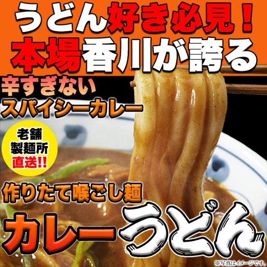 【全国送料無料】【ゆうパケット出荷】讃岐の製麺所が作る、レンジで簡単！辛すぎないスパイシーなカレーうどん4食(180g×4)【28ptプレゼント】画像