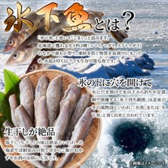 【送料無料(沖縄・離島への配送不可)】【ギフト対応可商品】本場北海道の味！生干し氷下魚(こまい)1kg【105ptプレゼント】画像