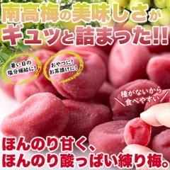 【送料無料(沖縄・離島への配送不可)】南高梅の美味しさがギュッと詰まった!!【大容量】やわらか練り梅200g【64ptプレゼント】の画像