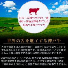 【セットでお買い得！】神戸牛カレー 4箱セット画像