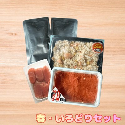 【4月限定】【送料無料】春・いろどりセットの画像