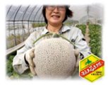 〜勇気ある生き様〜　北海道 小柴ふあーむ画像