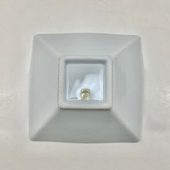 錦赤糸十草 なぶり正角小鉢　12㎝画像