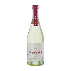 滝沢りんごワインPOMME-ポム-シードル（750ml）の画像