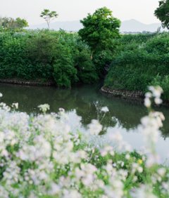   土田 貴文 作　「Flower-11」額装(プリント付)の画像