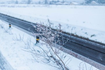 川上 直 作「winter-3」額装（プリント付）の画像