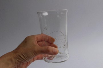 早崎志保　てんてん星のビーカーグラスlong　（クリア）画像