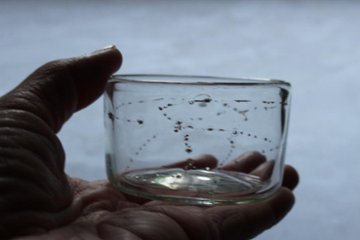 早崎志保　てんてん星の平かくぐい呑画像