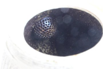 鈴木　進　粉引しのぎポット画像