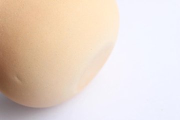 渡辺隆之　土鍋　小画像