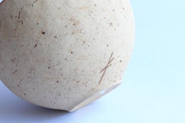 高田かえ　白土ボウル画像