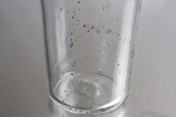 早崎志保　てんてん星のカフェグラス画像