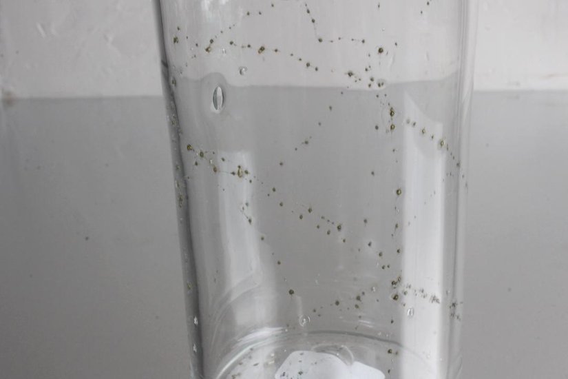 早崎志保　てんてん星のカフェグラス画像