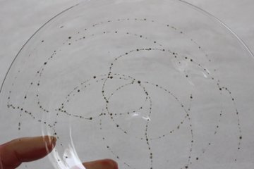 早崎志保　てんてん星のリム皿画像