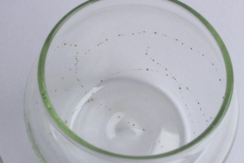 早崎志保　てんてん星のキャニスター画像