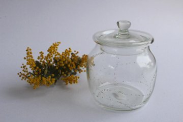 早崎志保　てんてん星のキャニスター画像