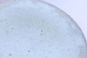坪井俊憲　灰釉高台皿　中画像