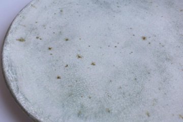 坪井俊憲　刷毛目台皿画像